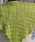 Malabrigo Silky Merino Yarn color lettuce hand knit shawl