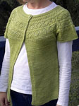 Malabrigo Silky Merino Yarn color lettuce hand knit sweater