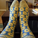 Hand knit flowered socks with Malabrigo Merino Sock Yarn color impressionist sky and ochre